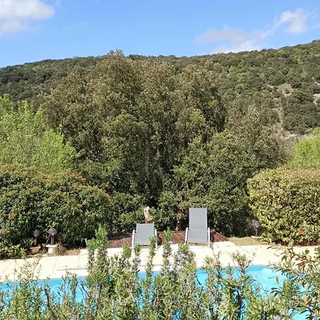 Le Paradis De L'ibie