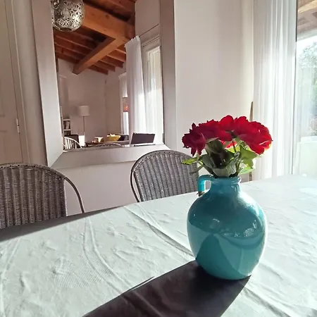 Le Paradis De L'ibie *